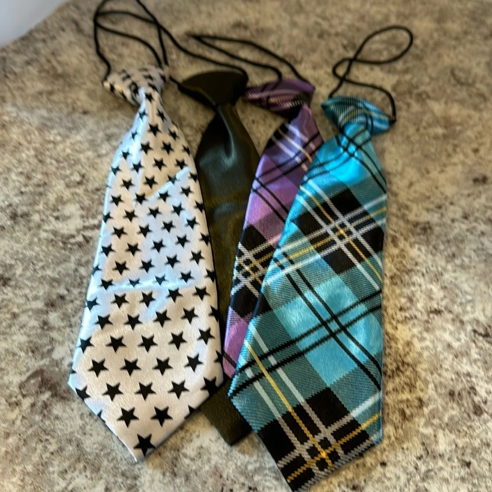 NWOT 10 inch unisex ties set of 4. Attached elastic cord goes under the collar